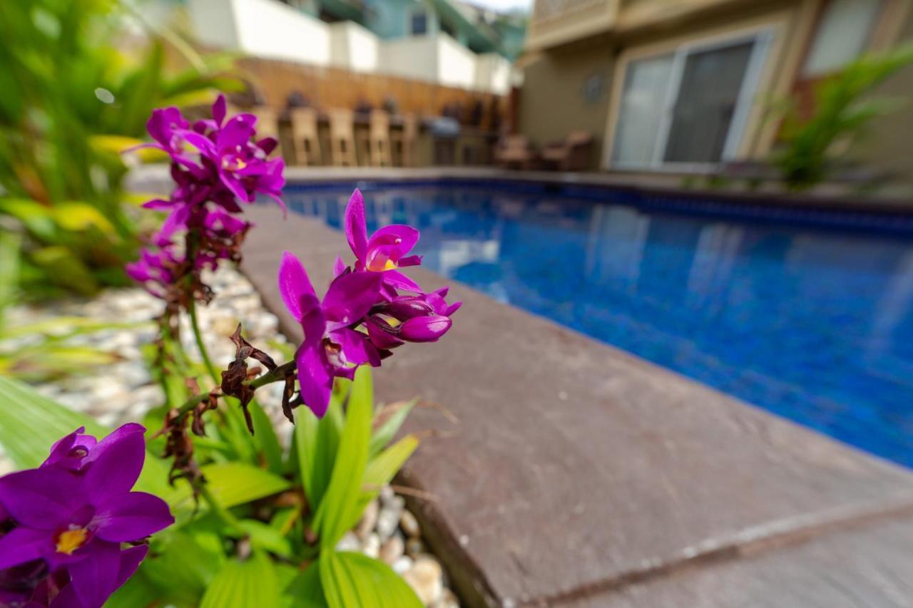 Studio With Mini Kitchen, Pool And Bbq, Pre-Renovation Summer Sale كيهي المظهر الخارجي الصورة